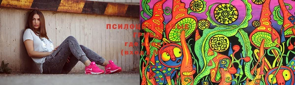прущие грибы Майский