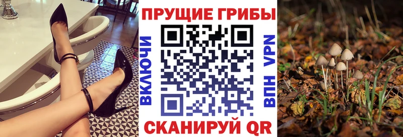 как найти   Липки  Галлюциногенные грибы мухоморы 